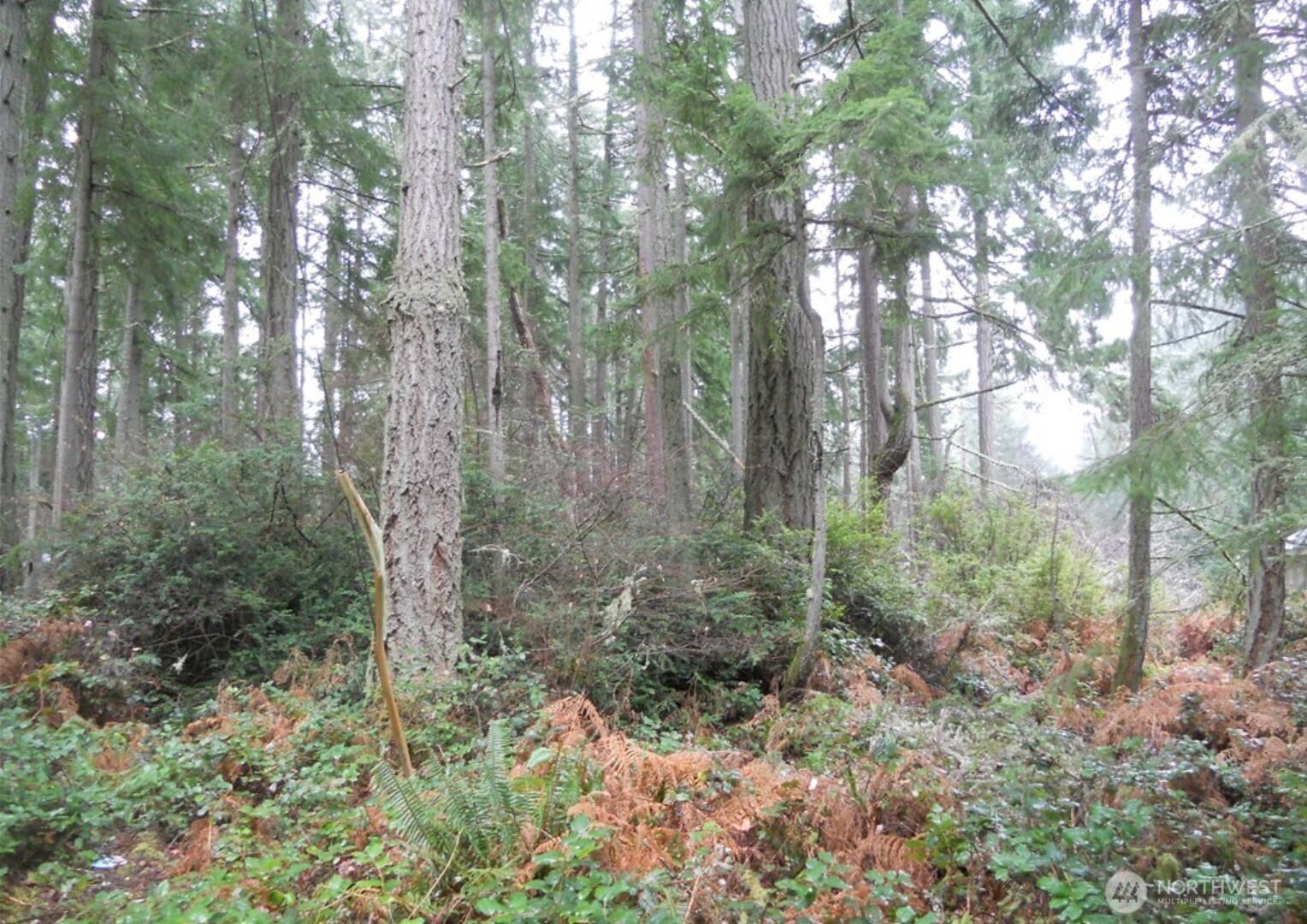 Image 1 Image 1