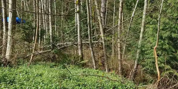 0 Hilltop