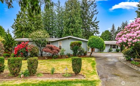 15729 Larch