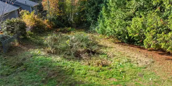Image 4 Image 4