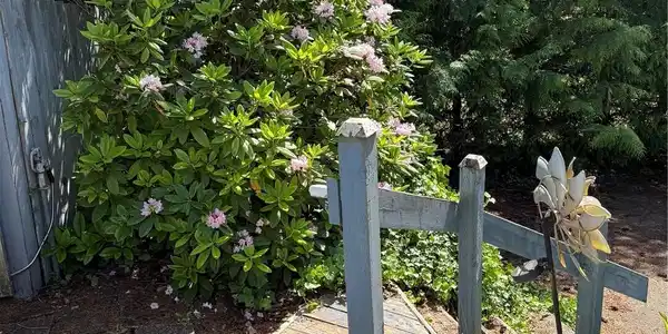 Image 3 Image 3