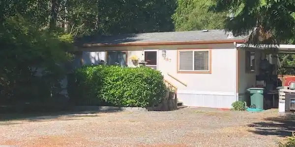 487 Vinemaple