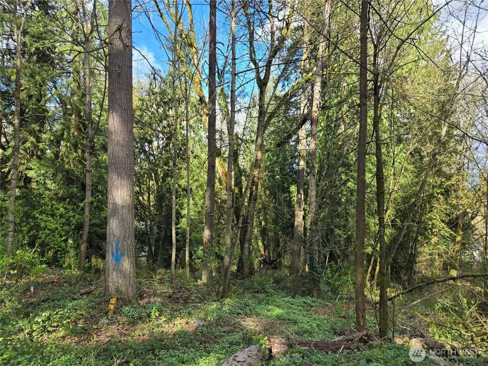 Image 1 Image 1