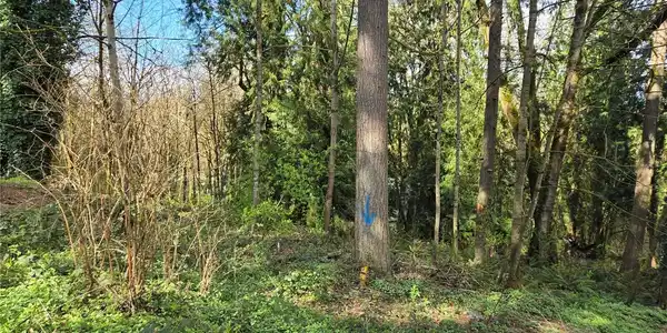 Image 4 Image 4