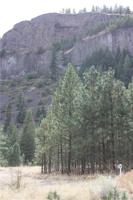 40025 Sterling Valley