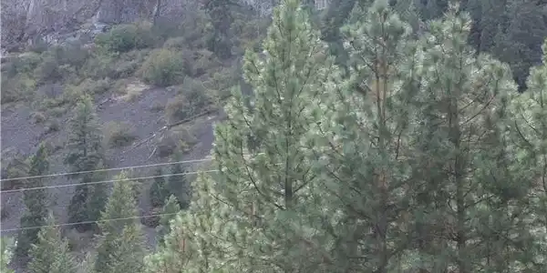 40025 Sterling Valley