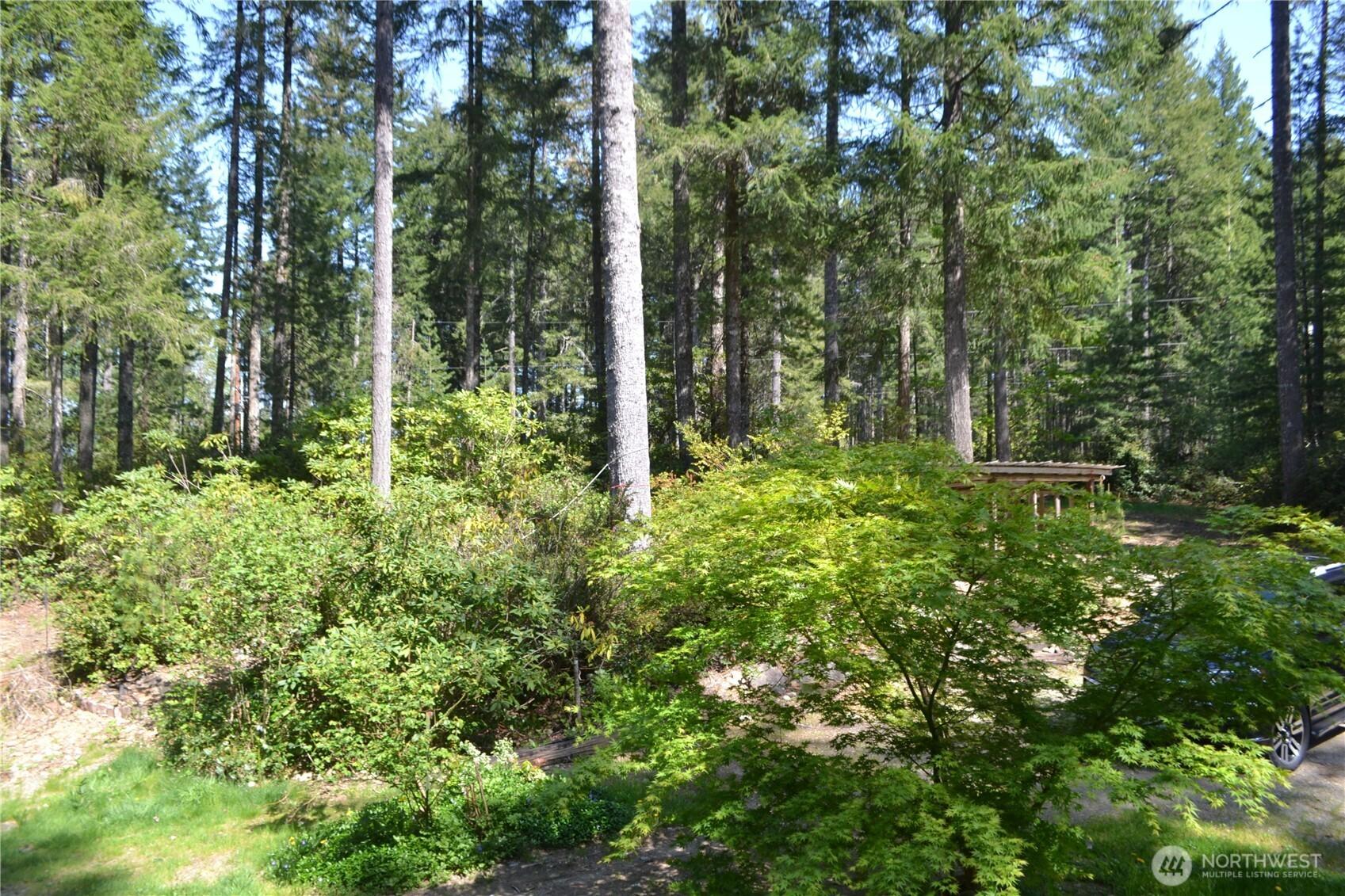 Image 3 Image 3