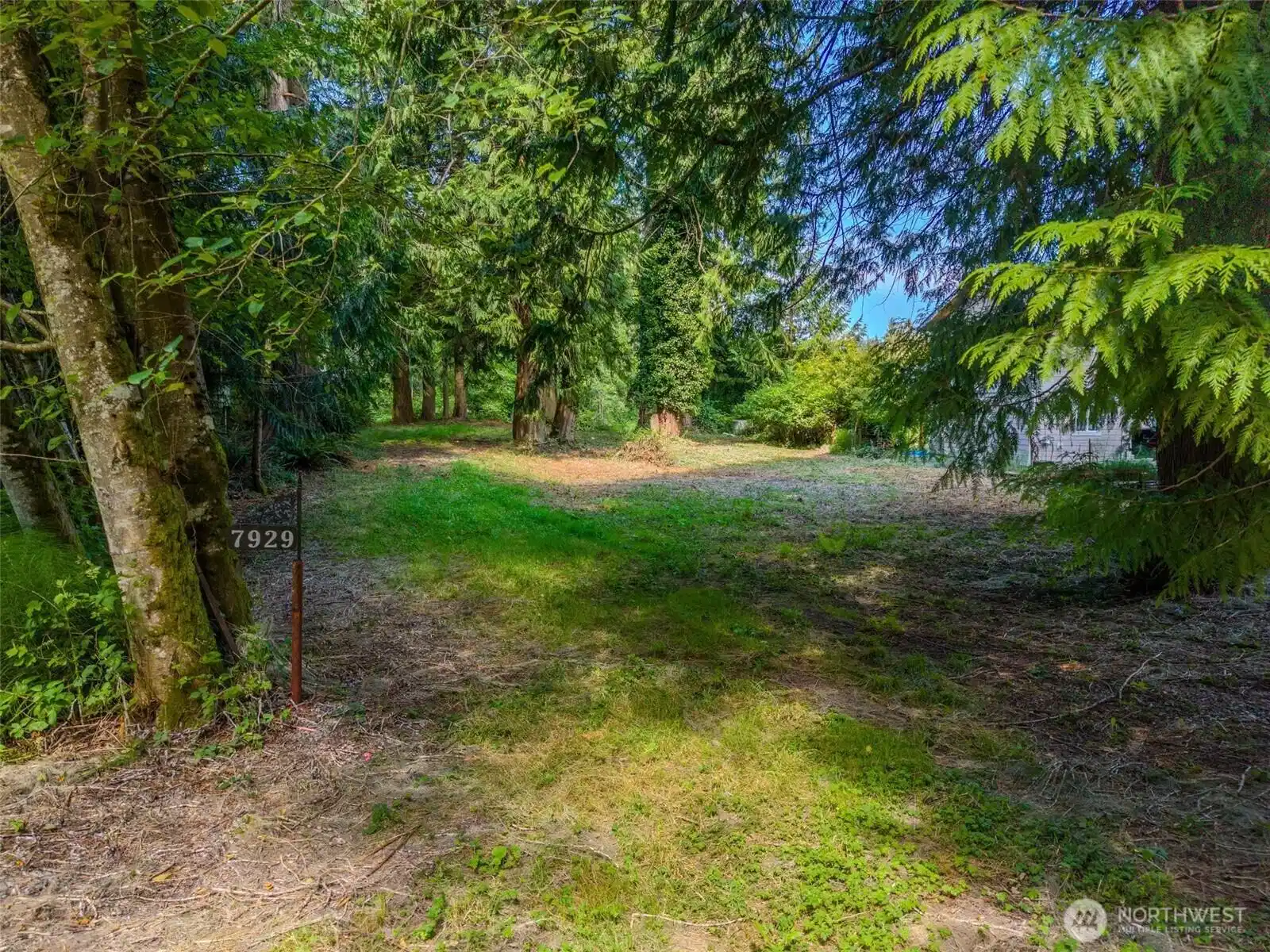 Image 1 Image 1