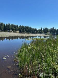 13705 Lake Kathleen SE