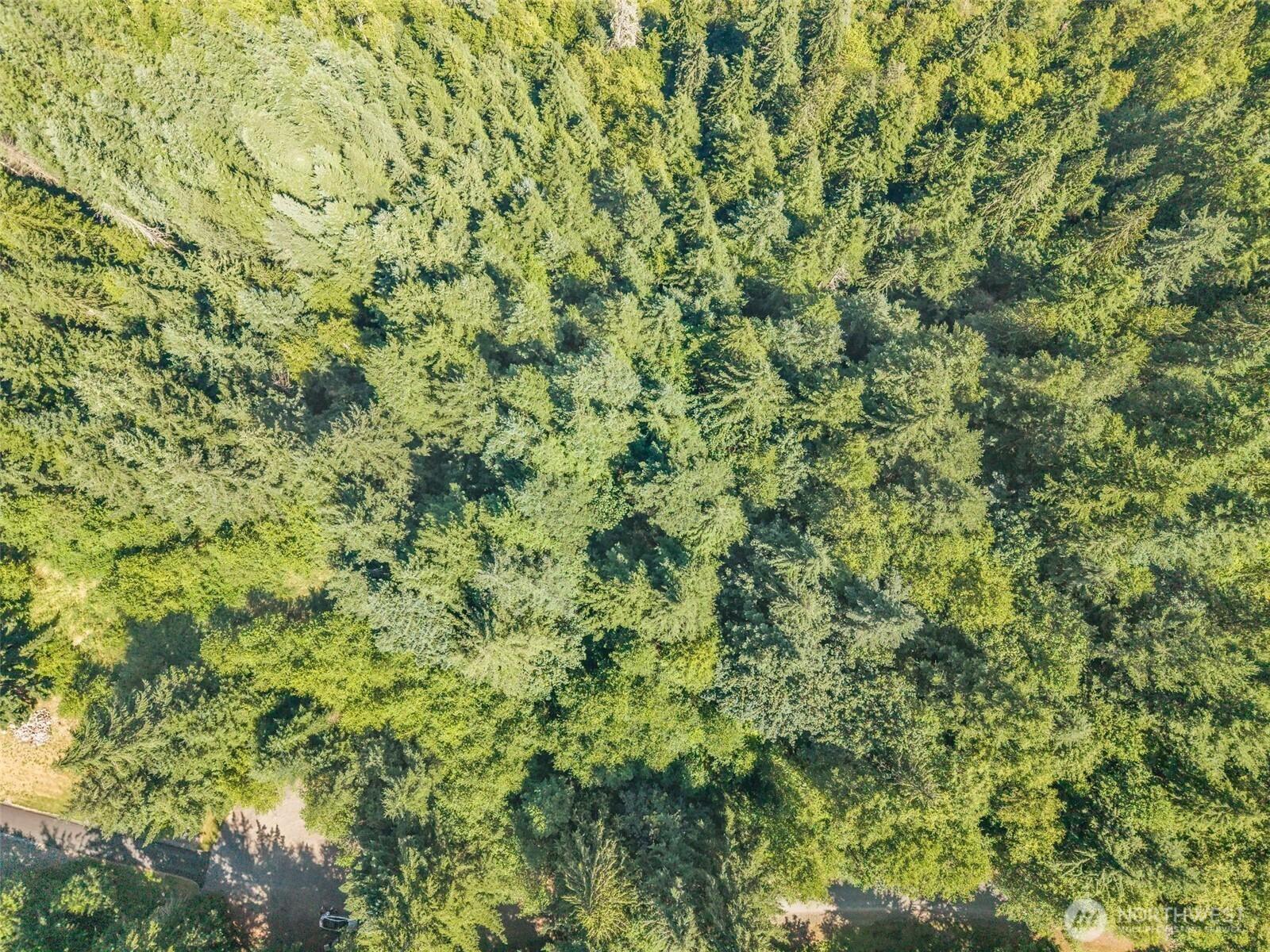 Image 3 Image 3