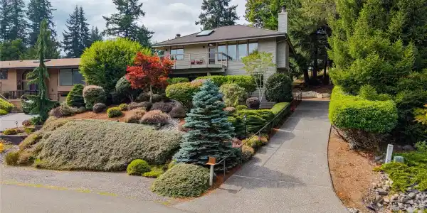 10 Birdie