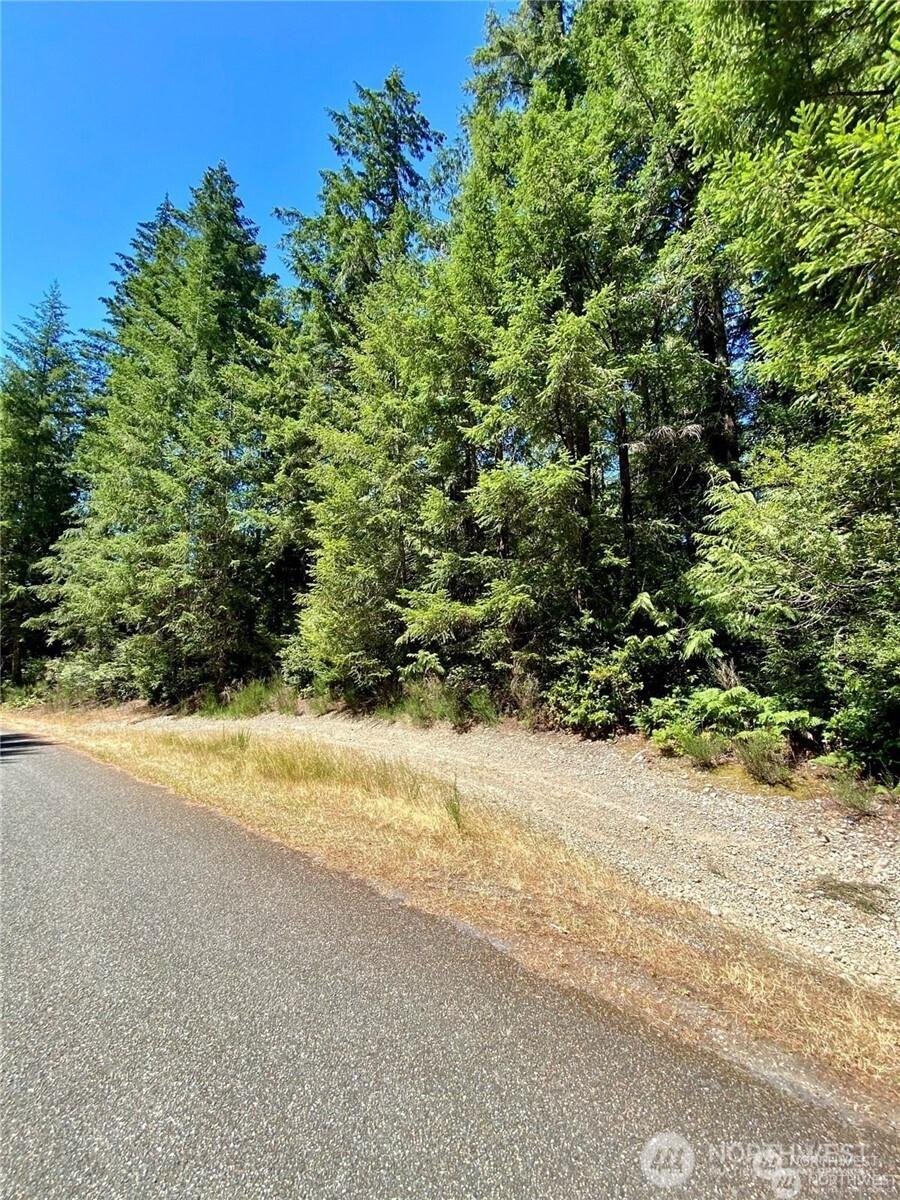 Image 1 Image 1