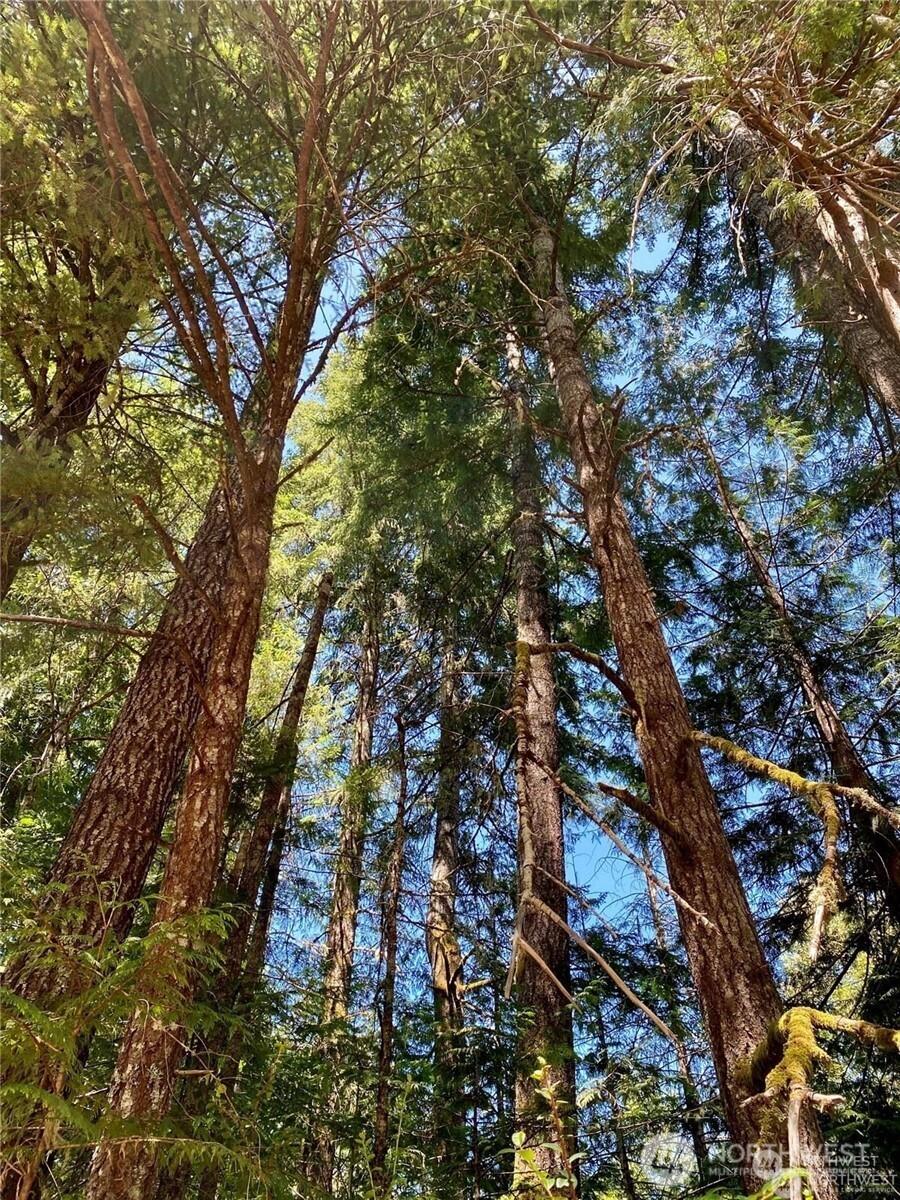 Image 3 Image 3