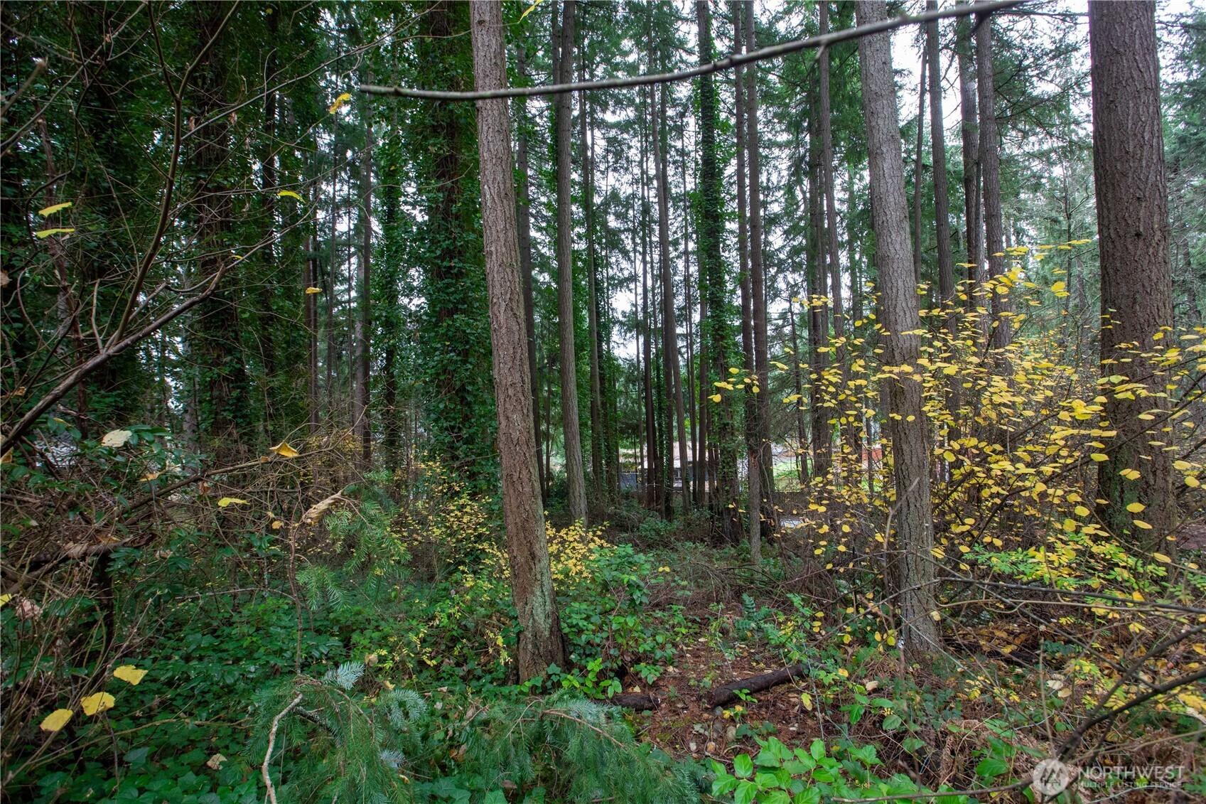 Image 3 Image 3