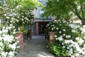 566 Prospect