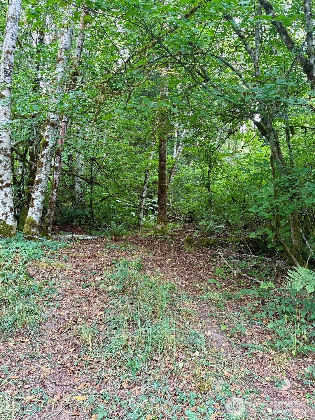 Image 3 Image 3