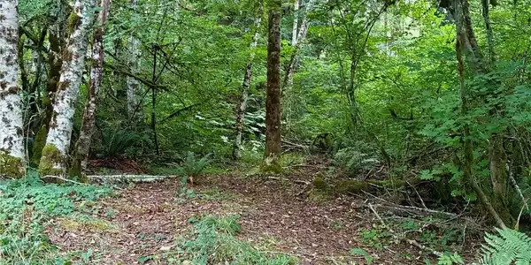Image 3 Image 3