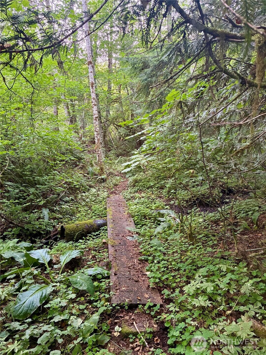Image 4 Image 4