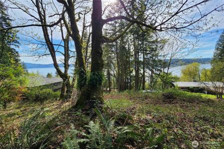 0 Lake Sammamish NE