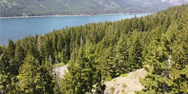 0 Carillon Cove