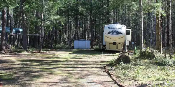 100 Kokanee Crest