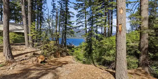 881 Lake Cabins