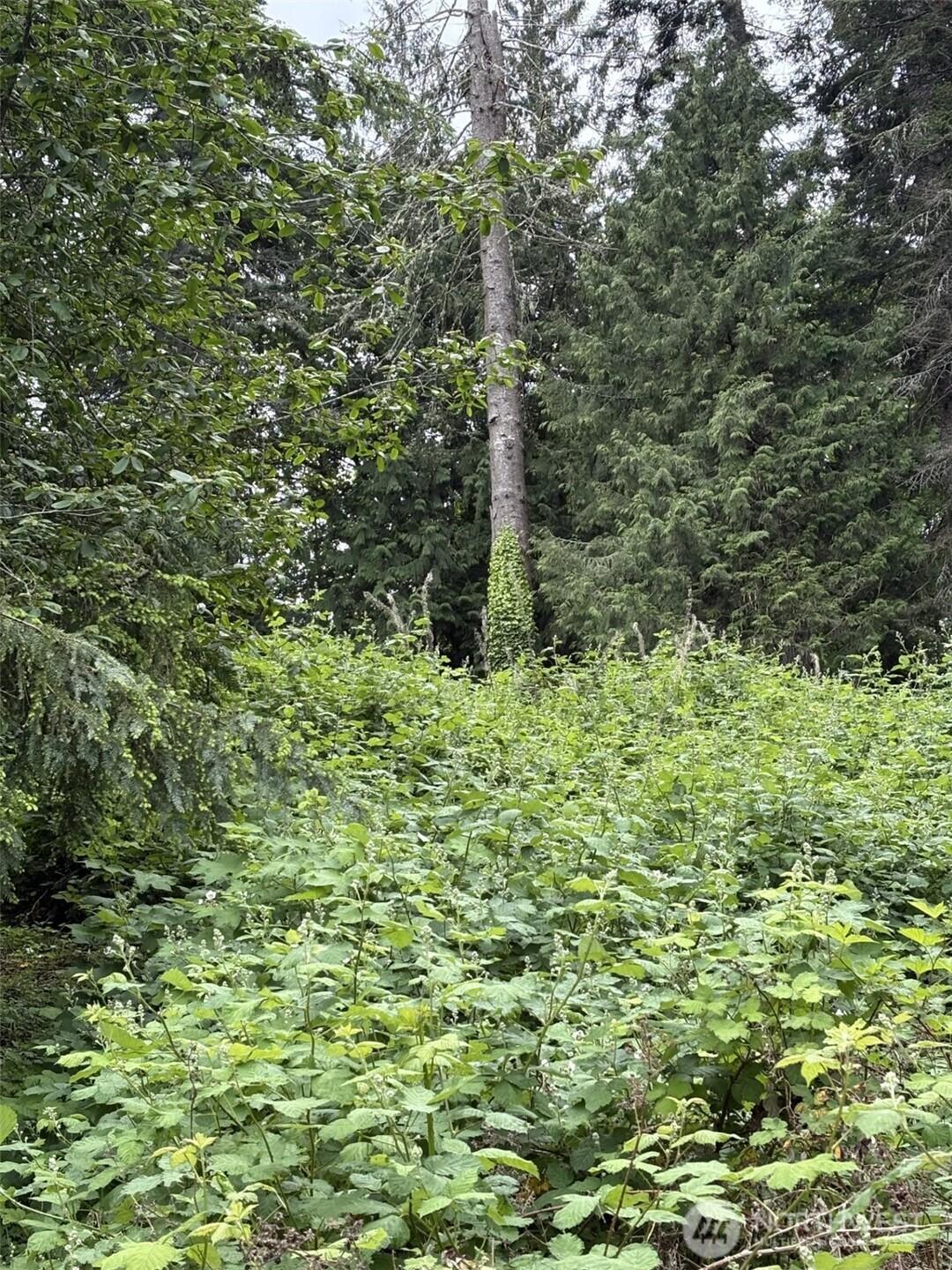 Image 3 Image 3