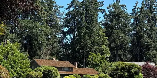 10 Forest Glen SW