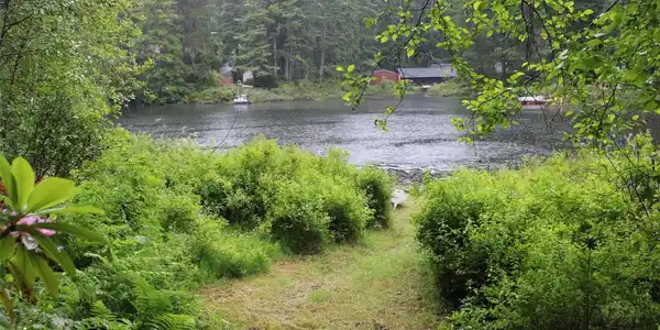 291 Collins Lake