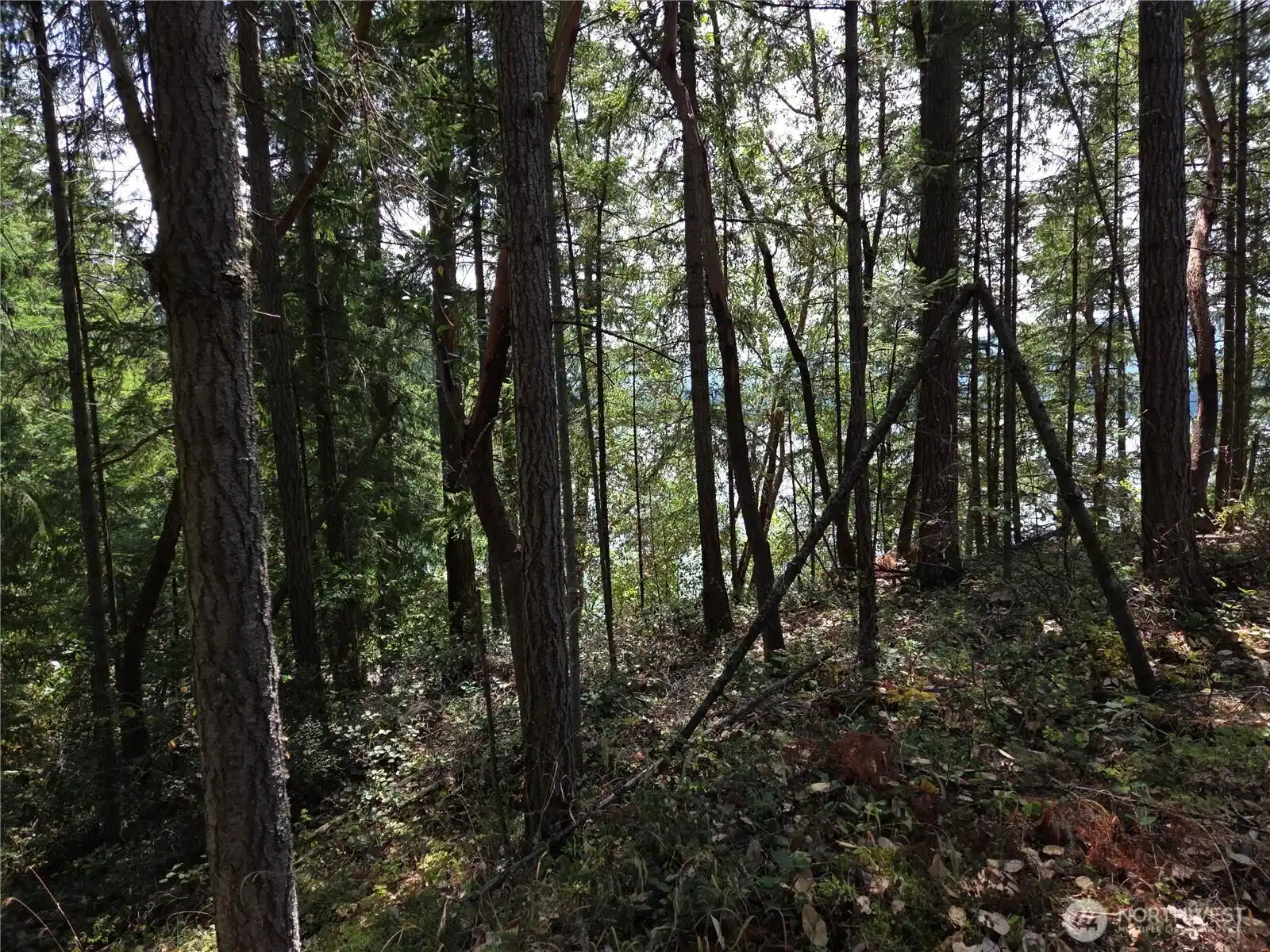 Image 1 Image 1
