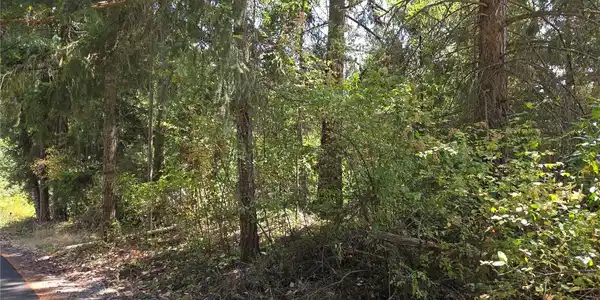 Image 3 Image 3
