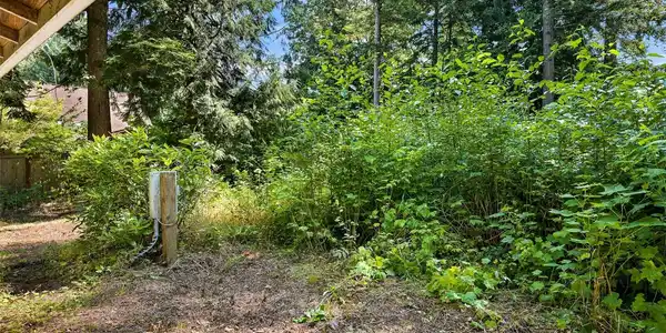 Image 4 Image 4
