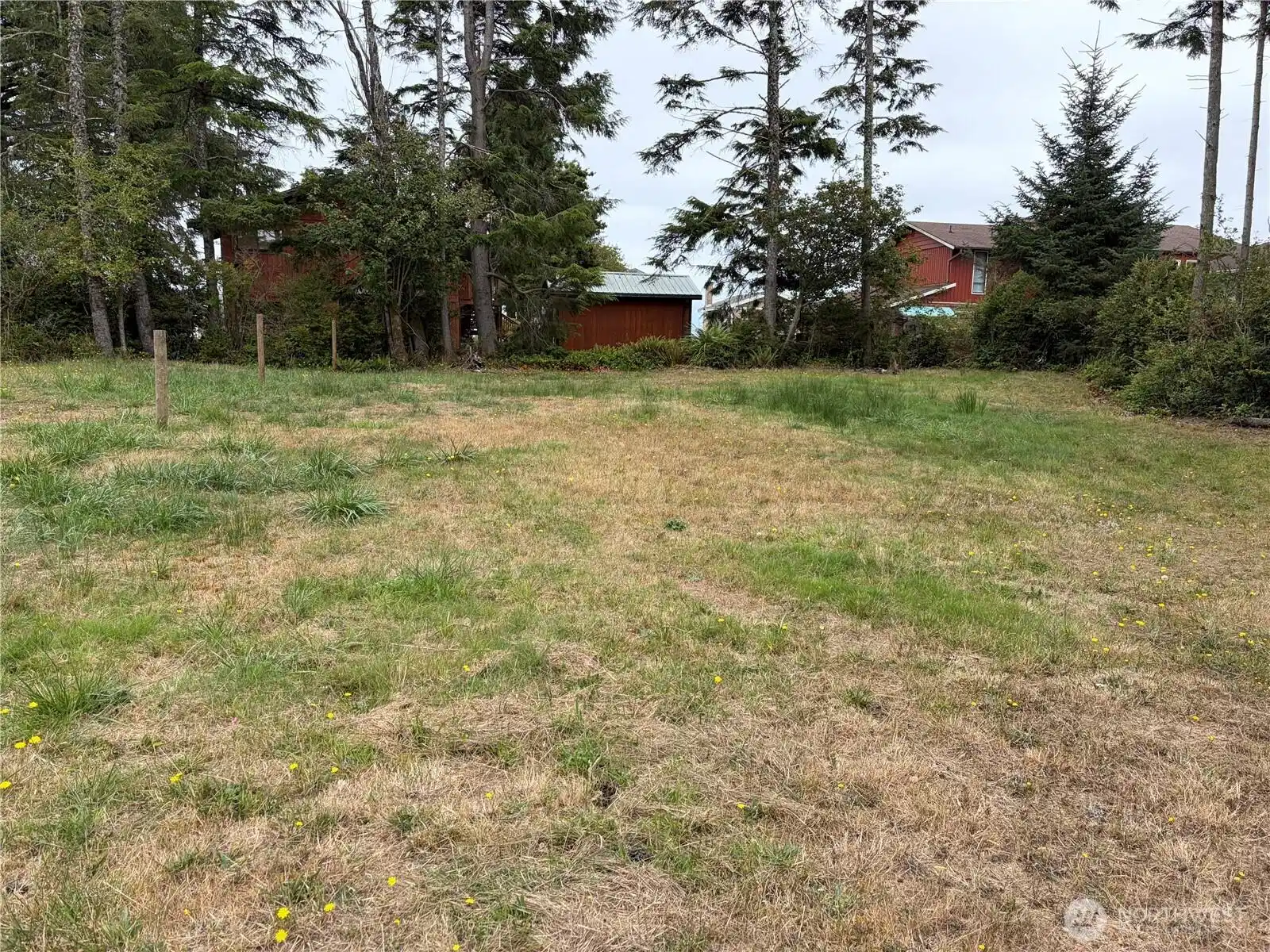 Image 1 Image 1