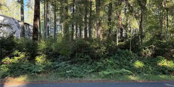 0 Mason Lake E