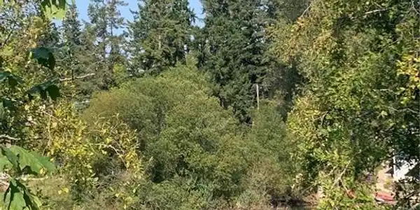69 Lochwood