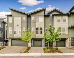 15720 Meadow