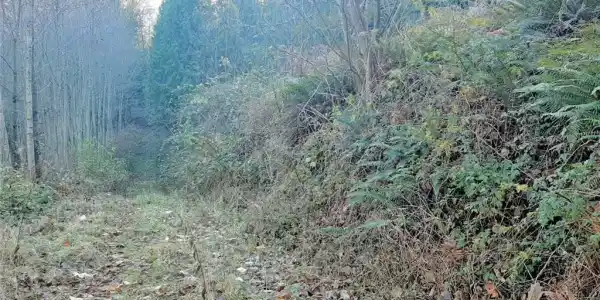 404 W Alder Drive