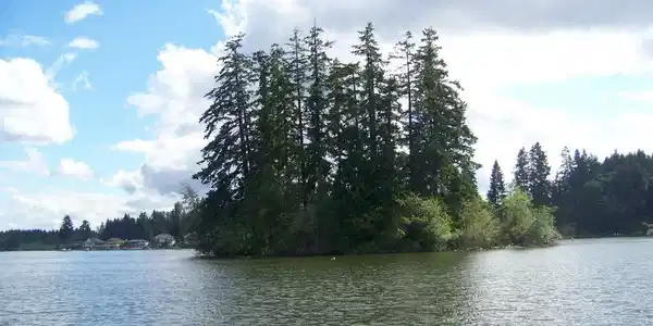 0 XXX Kirby Island