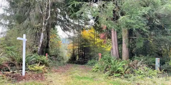 21 Lake Roesiger