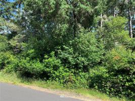 427 Mud Hen Loop SE