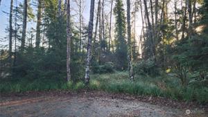 275 Pearsall SW