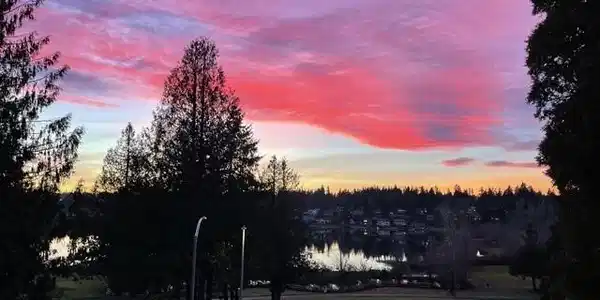 23507 Lakeview