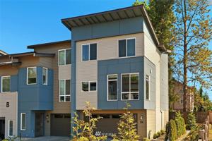 16201 Meadow