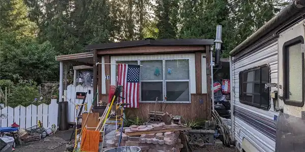 31 Stavis