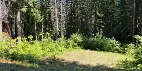 150 Mountain Home Lane