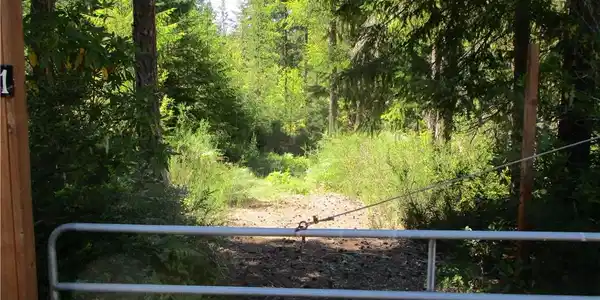 0 Collins Lake #1 Lot 61