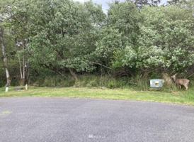 662 Alder NE