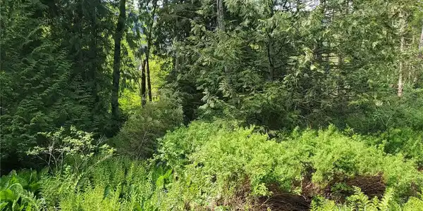525 Cain Lake