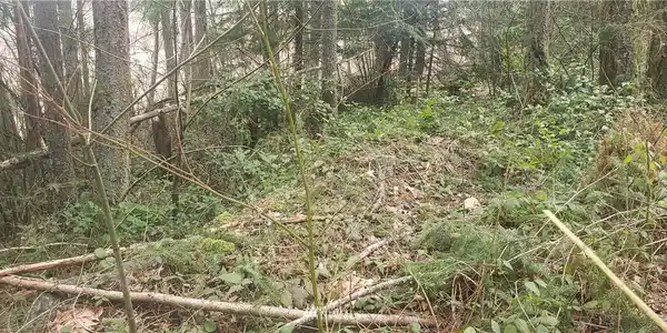 17623 Pond View SE