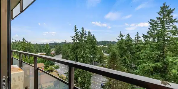 1910 Evergreen Park SW